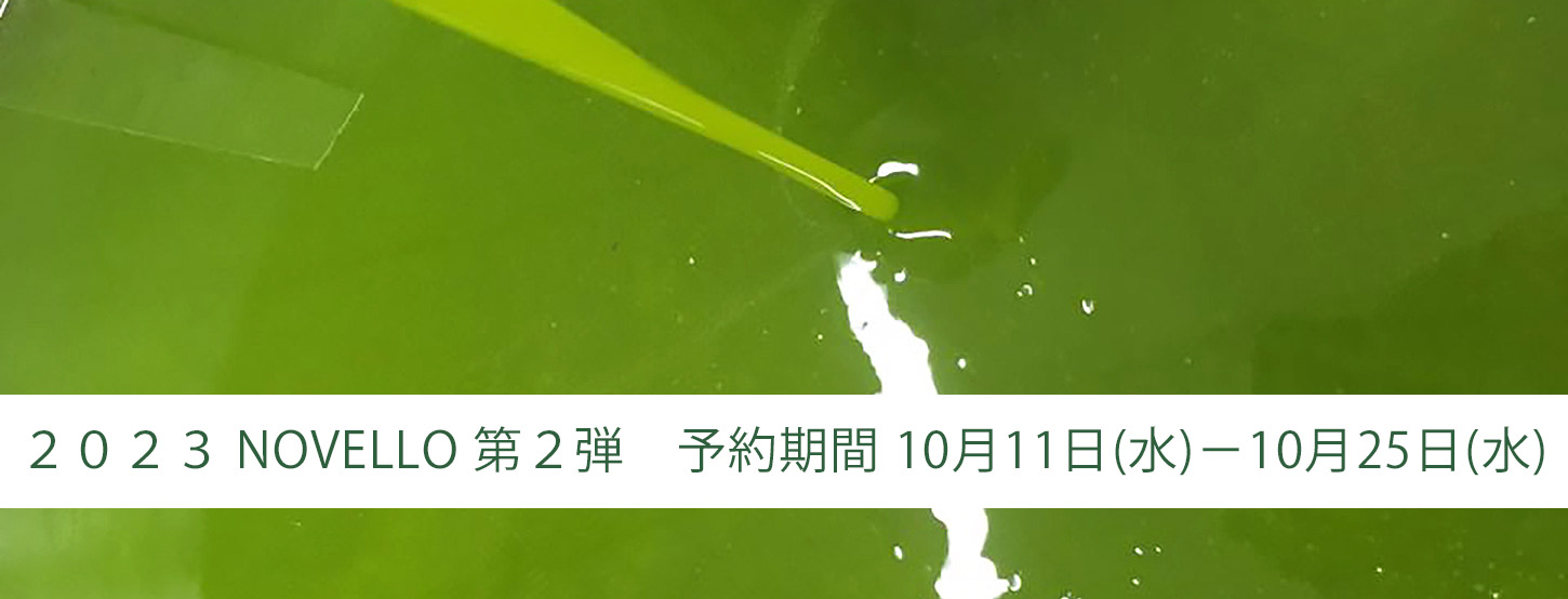 2023年ノヴェッロ第2弾
